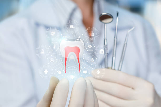 Best Dental Fillings (Composite and Amalgam)  in Oak Point, TX